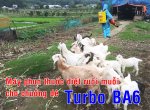 may-phun-thuoc-diet-muoi-cho-chuong-bo-chuong-de-turbo-ba6-0964293261 (5).jpg