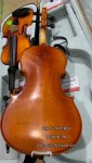 dan-violin-gia-re-cho-nguoi-moi-hoc-tai-tphcm (1).jpg