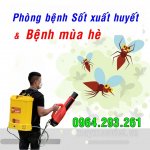 may-phun-thuoc-muoi-diet-con-trung-hieu-qua-gia-re-0964293261-4.jpg