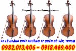 dan cello 1.jpg