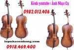 dan cello 5.jpg