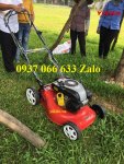 Máy cắt cỏ tự hành 1668 - Copy.jpg
