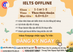 IELTS OFFLINE.png