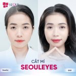 cat-mi-han-quoc-18.jpg