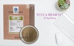 YUCCA STAR POWDER 1.jpg