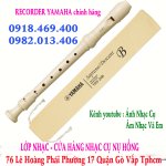 sao recorder yamaha 1.jpg