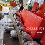thung-uop-lanh-hai-san-thung-da-thai-lan.jpg