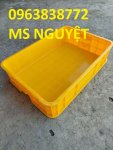 khay-nhua-bit-1t5.jpg
