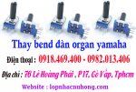 thay bend organ sai gon.jpg