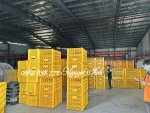 song-ho-8-banh-xe.jpg