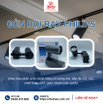 đèn rọi ray philips.png