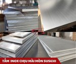 CÂY TRÒN CHỊU NHIỆT (1).jpg