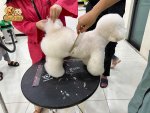 cattialong.jpg