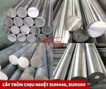 CÂY TRÒN CHỊU NHIỆT.jpg
