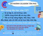 IELTS CELADON TAN PHU.png