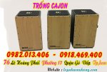 trong-cajon-tot (5).jpg