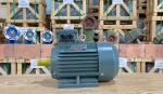 động cơ điện 3 pha Hà Thanh Motor.png