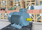 Động cơ điện từ 37kW đến 75kW.png