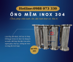 ONG-MEM-INOX-19.png