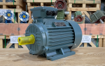 video-motor-dien-3-pha-thanh-thai-motor.png