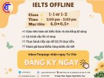 IE OFF.jpg