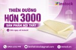 nem_cao_su_instock (2).jpg