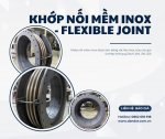 khop-noi-mem-590.jpg