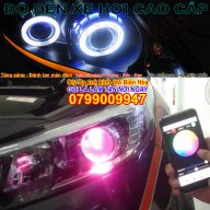 thanhphatauto7979