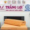 Nem cao su Thắng Lợi