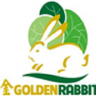 goldenrabbit