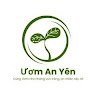 Ươm an yên