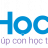 hoctot